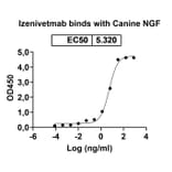 Dose-response - Izenivetmab Biosimilar - Anti-NGF Antibody - BSA and Azide free (A339759) - Antibodies.com
