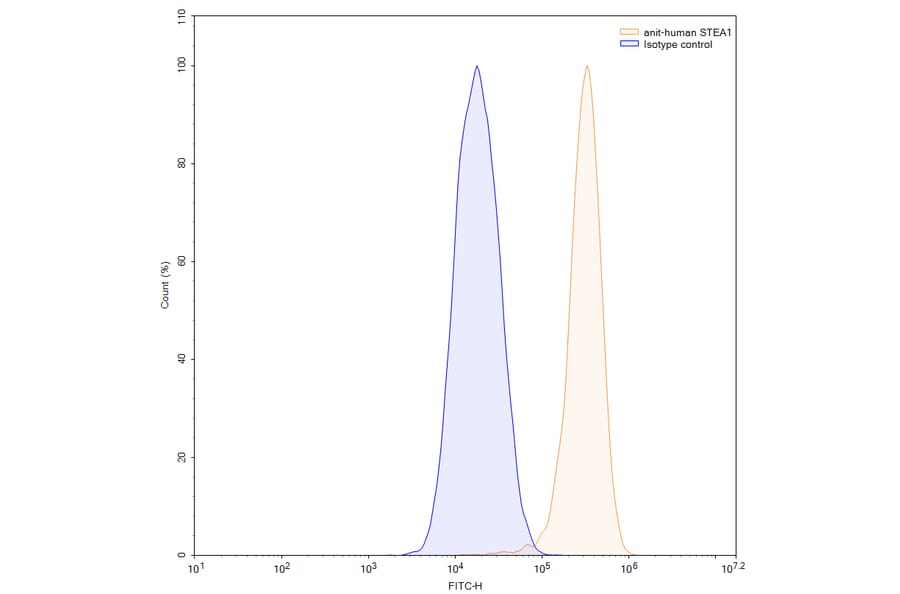Chromatography profile - Xaluritamig Biosimilar - Anti-STEAP1 + CD3 epsilon Antibody - BSA and Azide free (A339813) - Antibodies.com