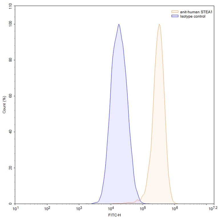 Chromatography profile - Xaluritamig Biosimilar - Anti-STEAP1 + CD3 epsilon Antibody - BSA and Azide free (A339813) - Antibodies.com
