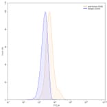 Chromatography profile - Xaluritamig Biosimilar - Anti-STEAP1 + CD3 epsilon Antibody - BSA and Azide free (A339813) - Antibodies.com