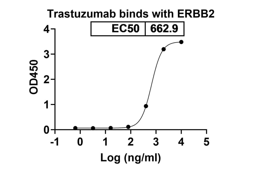 Dose-response - Trastuzumab Biosimilar - Anti-ErbB2 Antibody - BSA and Azide free (A339823) - Antibodies.com