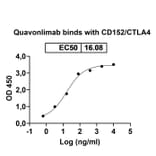 Dose-response - Quavonlimab Biosimilar - Anti-CTLA-4 Antibody - BSA and Azide free (A339828) - Antibodies.com