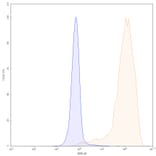 Chromatography profile - Avelumab Biosimilar - Anti-PD-L1 Antibody - BSA and Azide free (A339847) - Antibodies.com