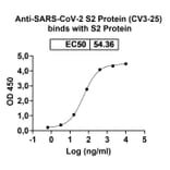 Dose-response- Anti-SARS-CoV-2 Spike Protein Glycoprotein 2 Antibody [CV3-25] Biosimilar - BSA and Azide free (A339892) - Antibodies.com