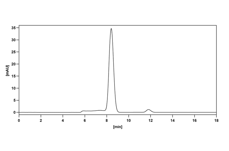 Chromatography profile - Anti-SARS-CoV-2 Spike Protein Glycoprotein 2 Antibody [WS6] Biosimilar - BSA and Azide free (A339893) - Antibodies.com