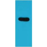 Western blot - ECFP Rabbit Polyclonal Antibody from Signalway Antibody (38077) - Antibodies.com