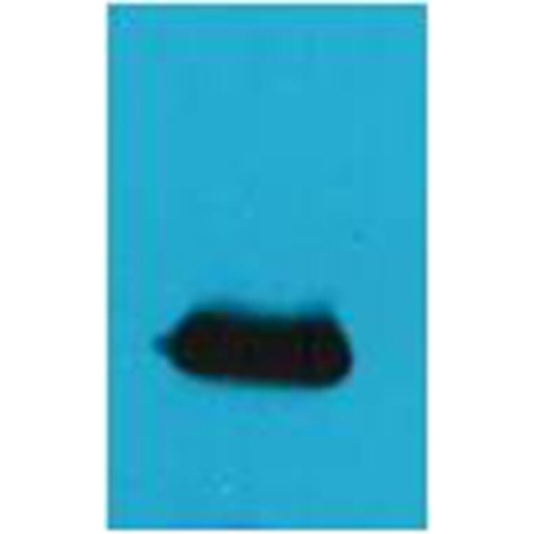 Western blot - EYFP Rabbit Polyclonal Antibody from Signalway Antibody (38078) - Antibodies.com