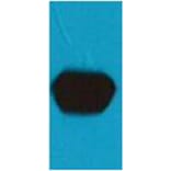 Western blot - mStrawberry Mouse Polyclonal Antibody from Signalway Antibody (38082) - Antibodies.com