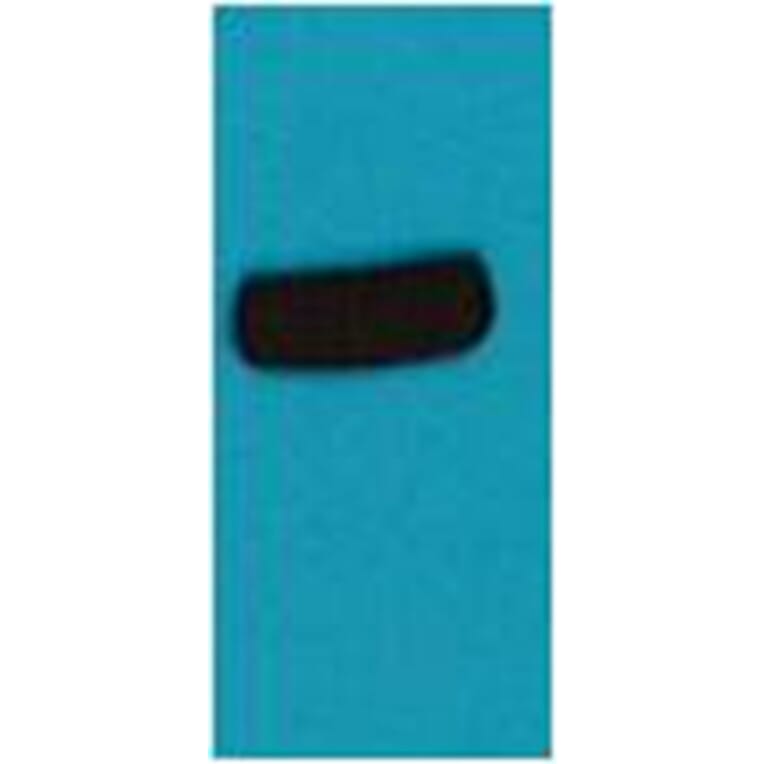 Western blot - AmCyan Rabbit Polyclonal Antibody from Signalway Antibody (38086) - Antibodies.com