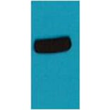 Western blot - AmCyan Rabbit Polyclonal Antibody from Signalway Antibody (38086) - Antibodies.com