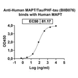 Dose-response - Anti-Tau Antibody [BIIB76] Biosimilar - BSA and Azide free (A340273) - Antibodies.com