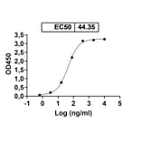 Dose-response - Anti-TNFR1 Antibody [ATROSAB] Biosimilar - BSA and Azide free (A340320) - Antibodies.com