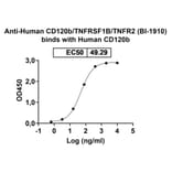 Dose-response - Anti-TNFRSF1B Antibody [BI-191] Biosimilar - BSA and Azide free (A340323) - Antibodies.com