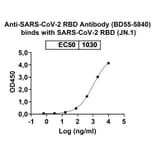 Dose-response - Anti-SARS-CoV-2 Spike Protein RBD Antibody [BD55-584] Biosimilar - BSA and Azide free (A340425) - Antibodies.com