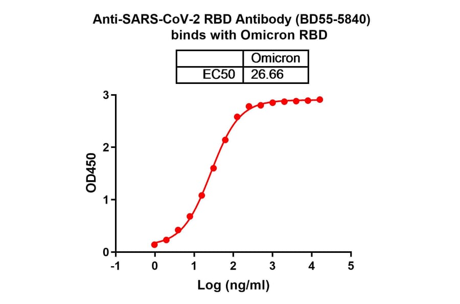 Dose-response - Anti-SARS-CoV-2 Spike Protein RBD Antibody [BD55-584] Biosimilar - BSA and Azide free (A340425) - Antibodies.com