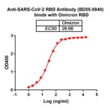 Dose-response - Anti-SARS-CoV-2 Spike Protein RBD Antibody [BD55-584] Biosimilar - BSA and Azide free (A340425) - Antibodies.com