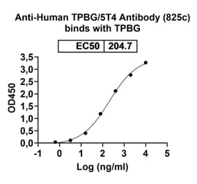 Dose-response - Anti-5T4 Antibody [825c] Biosimilar - BSA and Azide free (A340532) - Antibodies.com