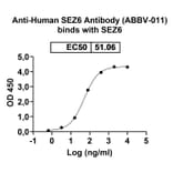 Dose-response - Anti-SEZ6 Antibody [ABBV-11] Biosimilar - BSA and Azide free (A340571) - Antibodies.com