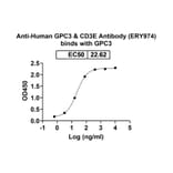 Dose-response - Anti-Glypican 3 + CD3 epsilon Bispecific Antibody [ERY974] (A341045) - Antibodies.com