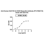 Dose-response - Anti-GUCY2C + CD3 epsilon Bispecific Antibody [PF-07062119] (A341057) - Antibodies.com