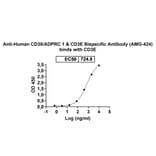 Dose-response - Anti-CD38 + CD3 epsilon Bispecific Antibody [AMG-424] (A341060) - Antibodies.com