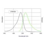 CF®488A - Rabbit Anti-Goat IgG H&L Antibody (CF®488A) (A343440) -Antibodies.com
