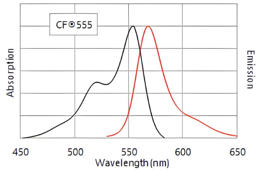 CF®555 - Goat Anti-Chicken IgY H&L Antibody (CF®555), Cross-Adsorbed (A343452) -Antibodies.com