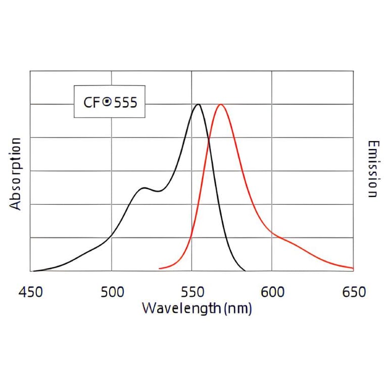 CF®555 - Goat F(ab')2 Anti-Rabbit IgG H&L Antibody (CF®555) (A343453) -Antibodies.com