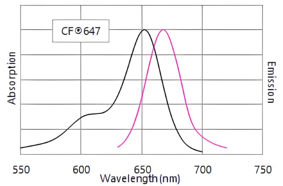 CF®647 - Goat Anti-Mouse IgG H&L Antibody (CF®647) (A343460) -Antibodies.com