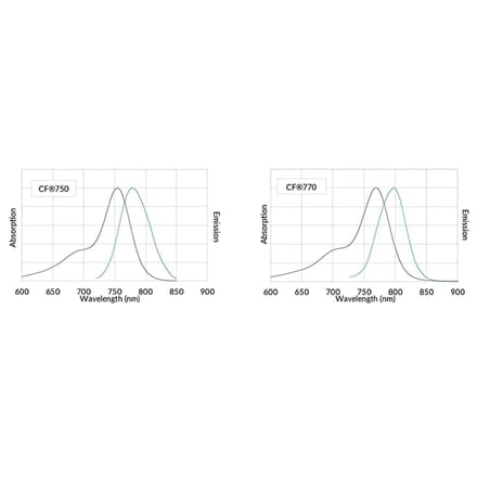 CF®750 - Goat Anti-Rabbit IgG H&L Antibody (CF®750) (A343487) -Antibodies.com