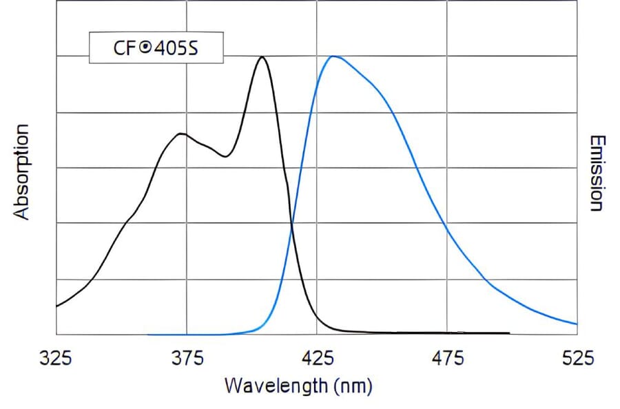 CF®405S - Goat Anti-Rabbit IgG H&L Antibody (CF®405S) (A343496) -Antibodies.com