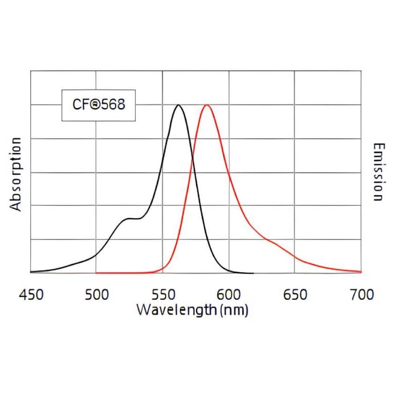 CF®568 - Goat Anti-Mouse IgG H&L Antibody (CF®568), Cross-Adsorbed (A343515) -Antibodies.com