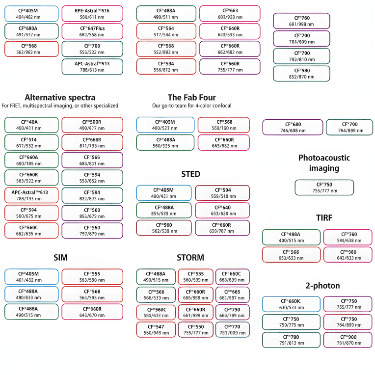 CF®488A - Rabbit Anti-Sheep IgG H&L Antibody (CF®488A), Cross-Adsorbed (A343580) -Antibodies.com