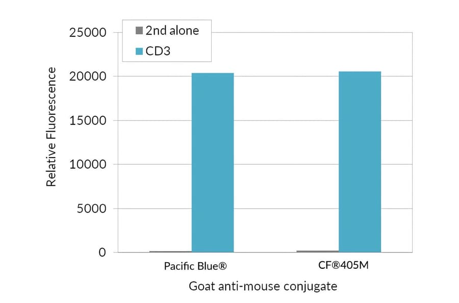 CF®405M - Goat Anti-Rabbit IgG H&L Antibody (CF®405M) (A343589) -Antibodies.com