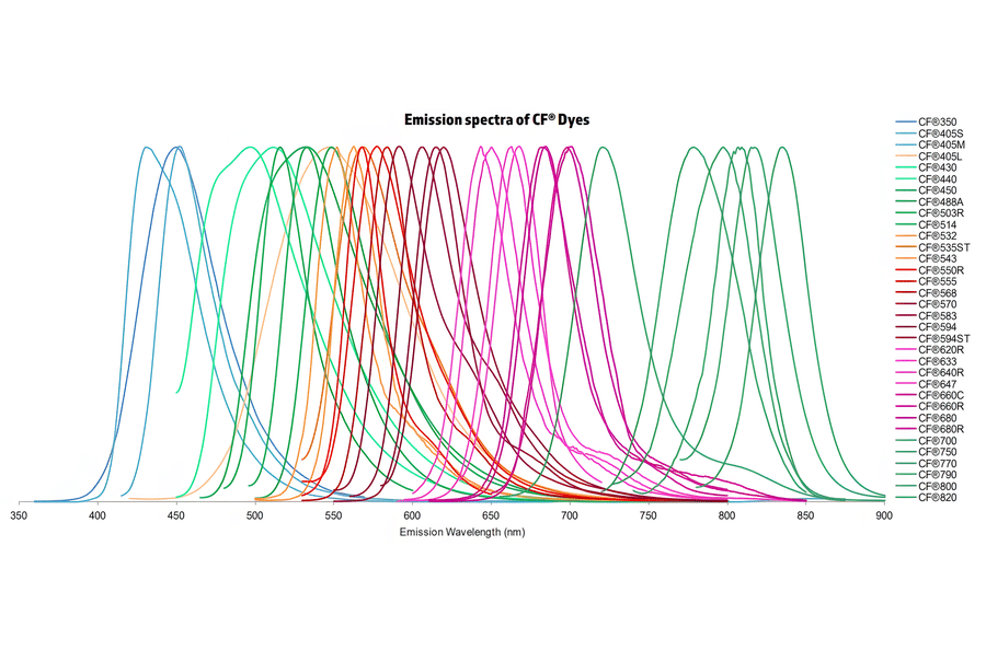 CF®555 - Goat Anti-Mouse IgG2a Antibody (CF®555), Cross-Adsorbed (A343665) -Antibodies.com