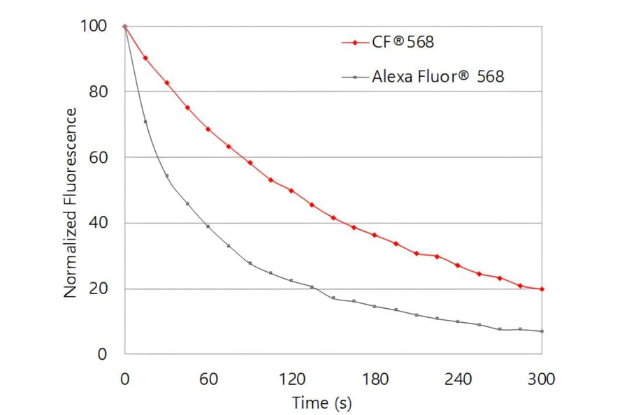CF®568 - Goat Anti-Mouse IgG2b Antibody (CF®568), Cross-Adsorbed (A343676) -Antibodies.com