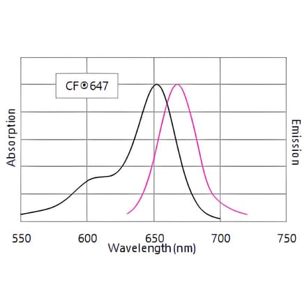 CF®647 - Goat Anti-Mouse IgG2b H&L Antibody (CF®647) - Highly Cross-Adsorbed (A343680) -Antibodies.com