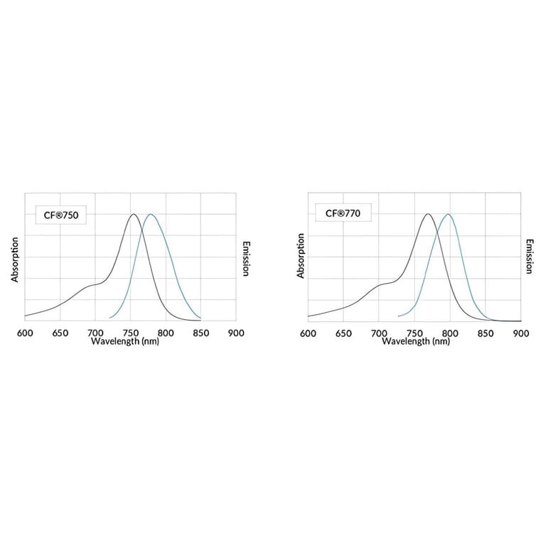 CF®770 - Donkey Anti-Goat IgG H&L Antibody (CF®770), Cross-Adsorbed (A343685) -Antibodies.com