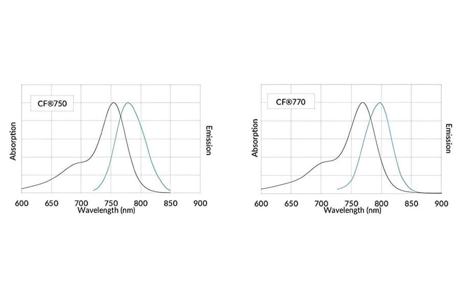 CF®750 - Donkey Anti-Rabbit IgG H&L Antibody (CF®750), Cross-Adsorbed (A343702) -Antibodies.com