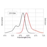 CF®594 - Goat Anti-Mouse IgG H&L Antibody (CF®594) - Highly Cross-Adsorbed (A343707) -Antibodies.com