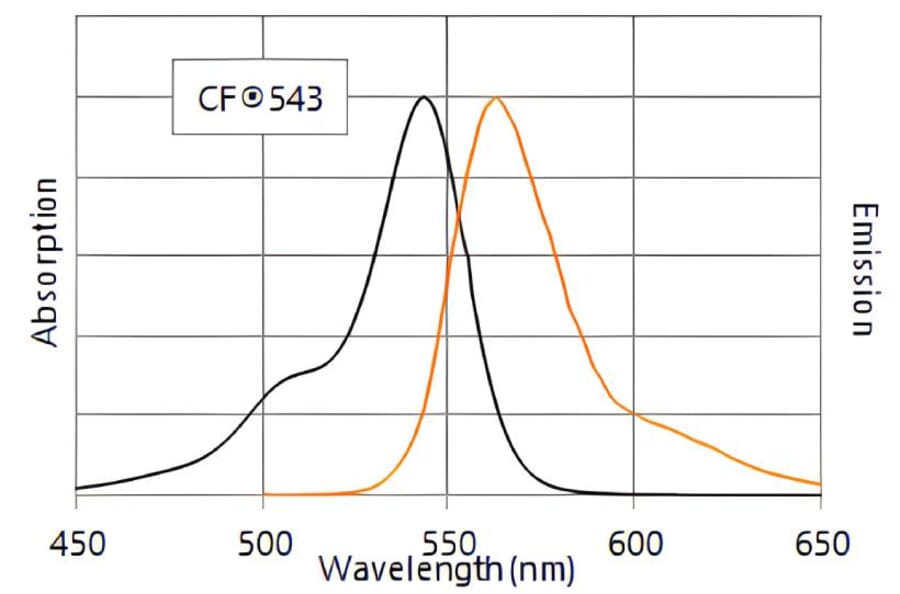 CF®543 - Goat Anti-Mouse IgG2a Antibody (CF®543), Cross-Adsorbed (A343730) -Antibodies.com