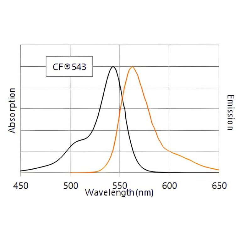 CF®543 - Goat F(ab')2 Anti-Mouse IgG H&L Antibody (CF®543) (A343733) -Antibodies.com