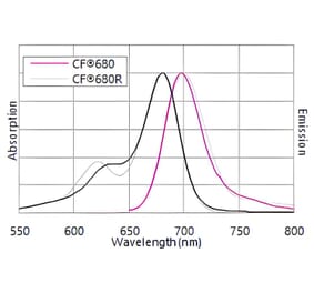 CF®680 - Anti-His Tag Antibody [33D10.D2.G8] (CF®680) (A343737) -Antibodies.com