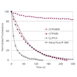 CF®680 - Anti-His Tag Antibody [33D10.D2.G8] (CF®680) (A343737) -Antibodies.com
