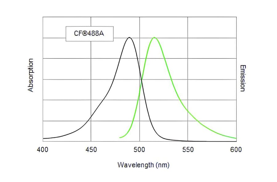 CF®488A - Anti-FLAG Tag Antibody (CF®488A) (A343742) -Antibodies.com
