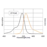 CF®543 - Donkey Anti-Mouse IgG H&L Antibody (CF®543), Cross-Adsorbed (A343771) -Antibodies.com