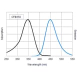 CF®350 - Chicken Anti-Mouse IgG H&L Antibody (CF®350) (A343820) -Antibodies.com