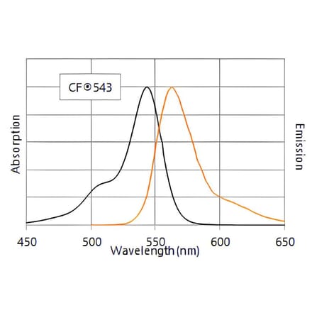 CF®543 - Rabbit Anti-Guinea Pig IgG H&L Antibody (CF®543) (A343825) -Antibodies.com