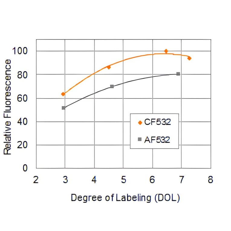 CF®532 - Goat Anti-Rabbit IgG H&L Antibody (CF®532) (A343851) -Antibodies.com