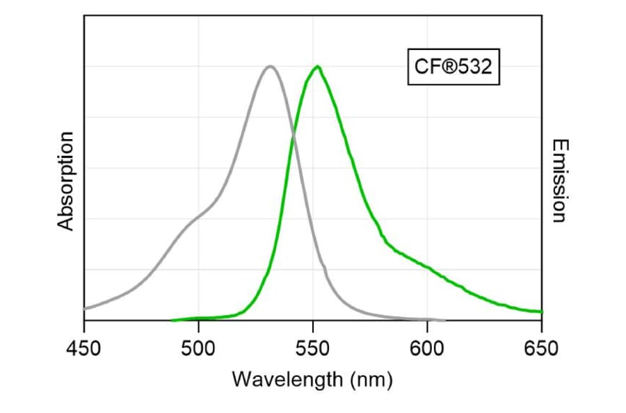 CF®532 - Goat Anti-Rabbit IgG H&L Antibody (CF®532) (A343851) -Antibodies.com